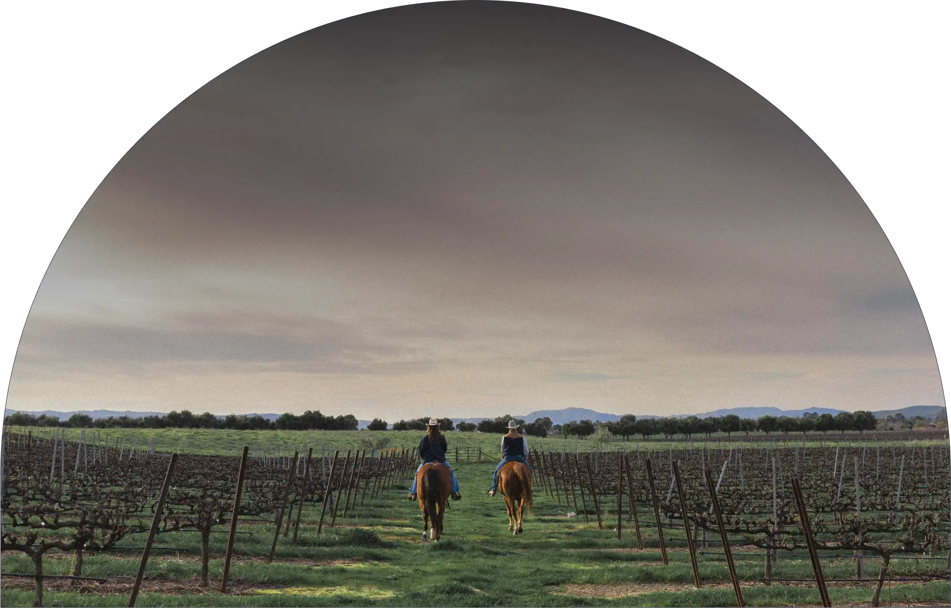 two horse and riders heading off towards the horizon with dark could overhead