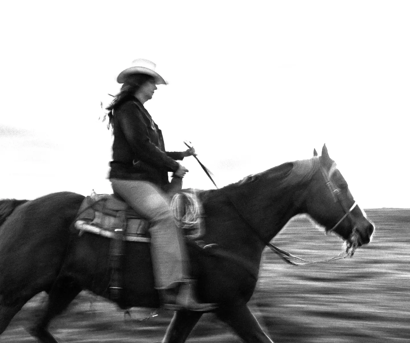rider on horse