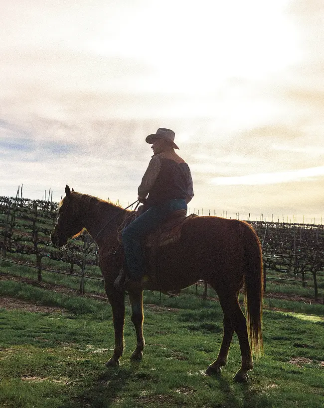 man sits on a horse with sunlight in the background
